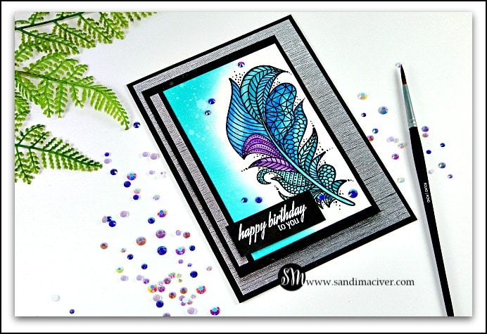 Creative Dies Designs - Feathers - New Video from SandiMaciver.com