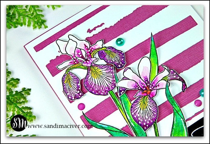 Altenew Enchanted Iris - Easy Watercolor Technique