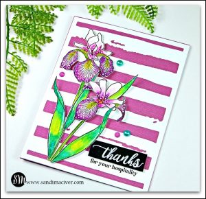 Altenew Enchanted Iris - Easy Watercolor Technique