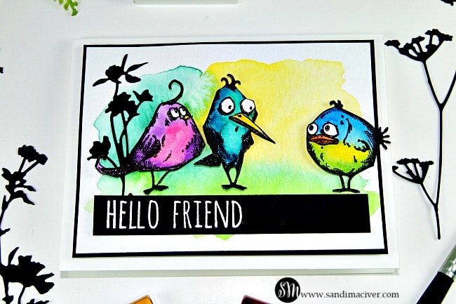 Tim Holtz Crazy Birds Water colored 