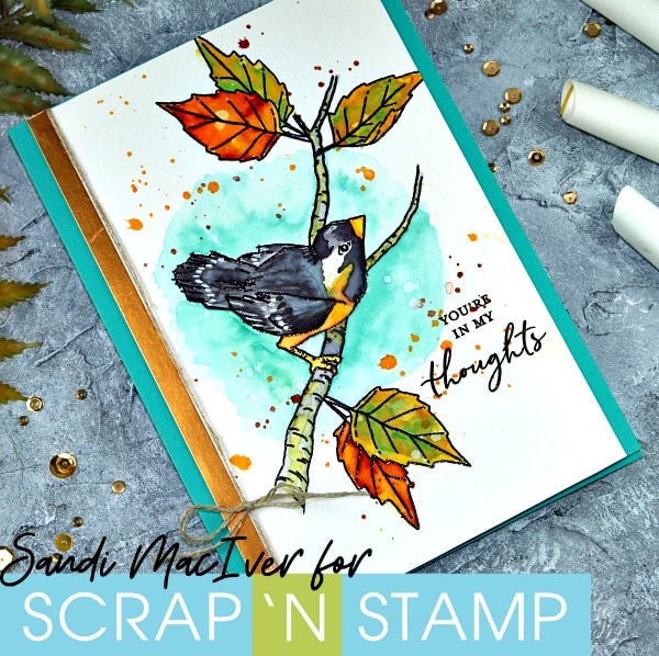 New Video - Painting with Nuvo Aqua Flow Pens and Concord & 9th Songbird Stamp Set