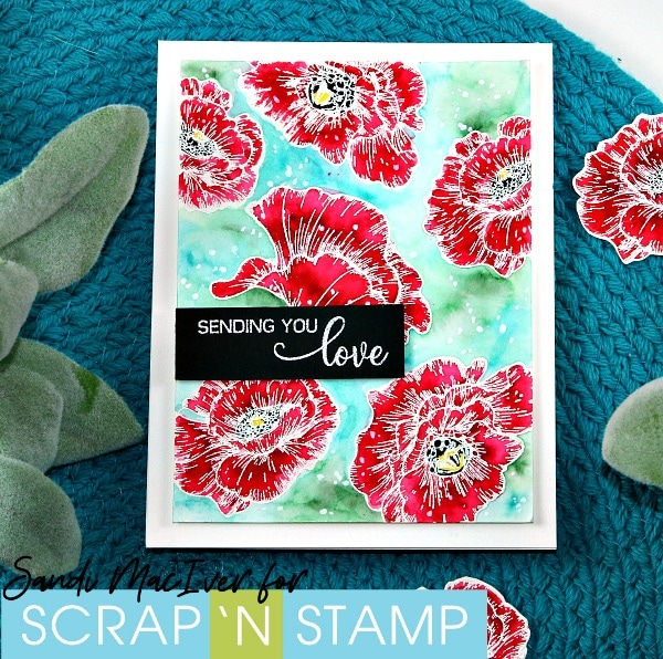 Poppy Bloom for Scrap 'N Stamp