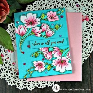 New Video - Copic Markers and Heat Embossing - Sandi MacIver - Card ...