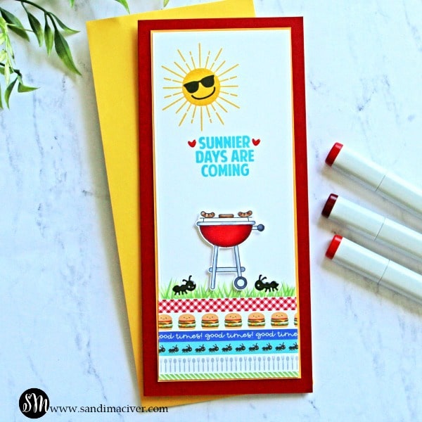 Simon Says Stamp Picnic Parade Card Kit