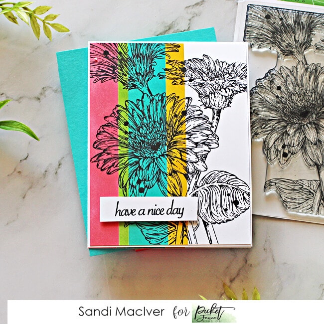 a hand made greeting card using the Picket Fence Studios Wild Daisies stamp set and the color blocking technique