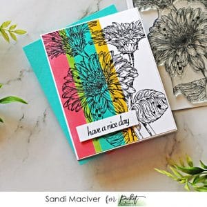 image of a hand made greeting card using the Picket Fence Studios Wild Daisies stamp set and the color blocking technique