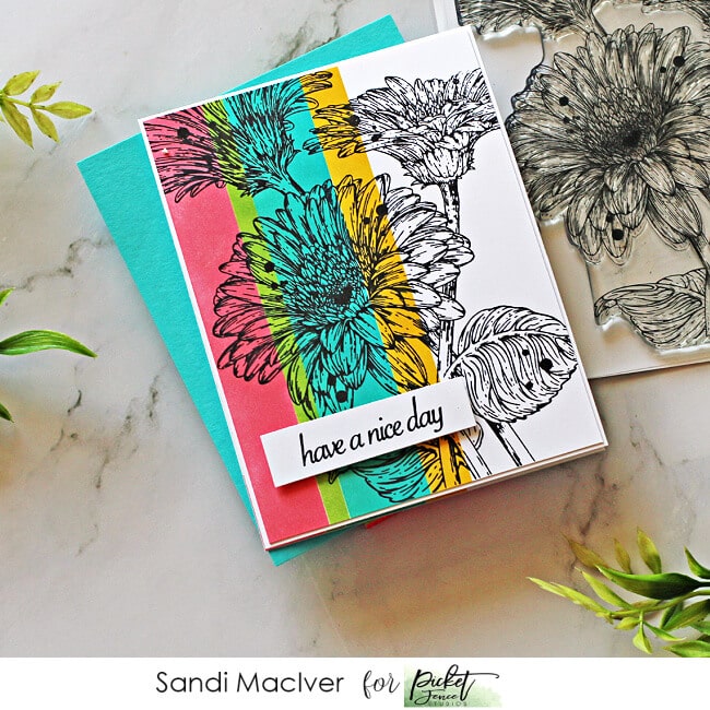 image of a hand made greeting card using the Picket Fence Studios Wild Daisies stamp set and the color blocking technique