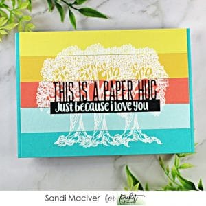 Picket Fence STudios June Release of Cardmaking products Listen for Joy and This is a Paper Hug Word Topper Die