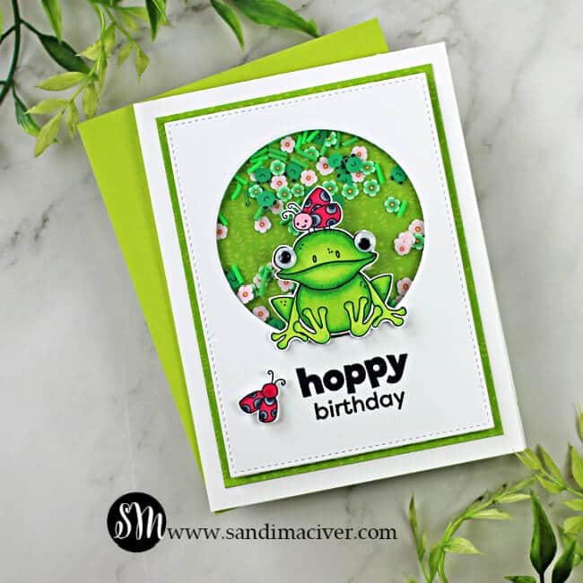 hand made shaker card with a frog and ladybugs on it 
