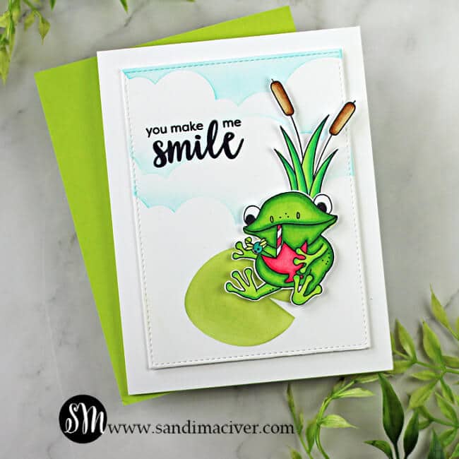 handmade card with frog sitting on a lily pad using products from the Simon Says Stamp Toadally Unfrogettable card kit