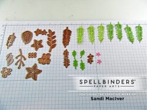 Spellbinders Christmas Blooms - Sandi MacIver - Card making and paper ...