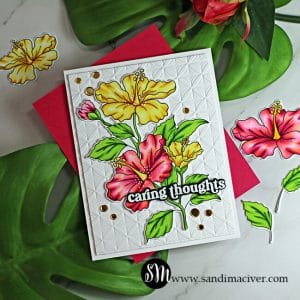 handmade card with copic colored Hibiscus flowers using cardmaking products from Simon Says Stamp