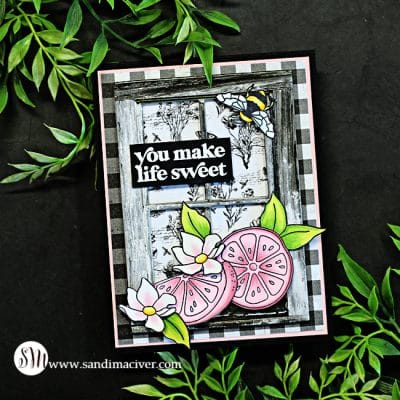 Simon Says Stamp You Shine Cards - Sandi MacIver - Card making and ...