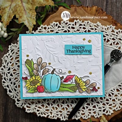[Card Making Video] November 22 Full of Thanks Card Kit - Sandi MacIver ...