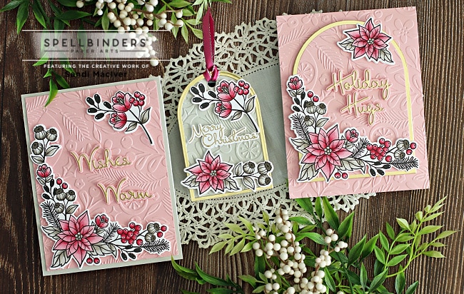 handmade christmas cards with colored poinsettia and a embossed background created with new card making products from Spellbinders