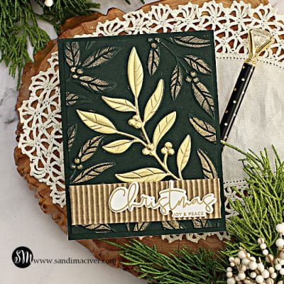 1 Embossing Folder - 4 cards - Sandi MacIver - Card making and paper ...