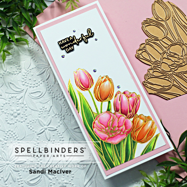 handmade slimline card with pink and orange tulips colored with copic markers and card making products from Spellbinders