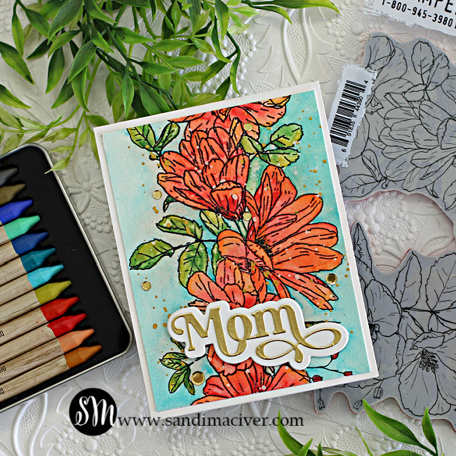 hand made floral greeting card created with Tim Holtz New Distress Watercolor Pencils and stamps