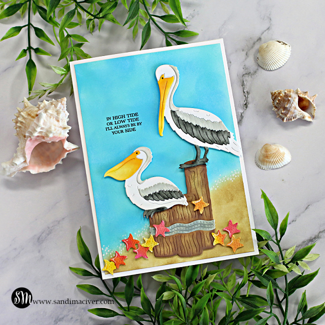 hand made greeting card with an ocean view and two Pelicans sitting on posts created with new card making supplies from Scrappy Tails
