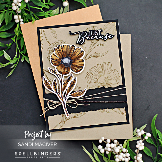 Brown and sepia colored card with a stamped background created with new card making supplies from Spellbinders