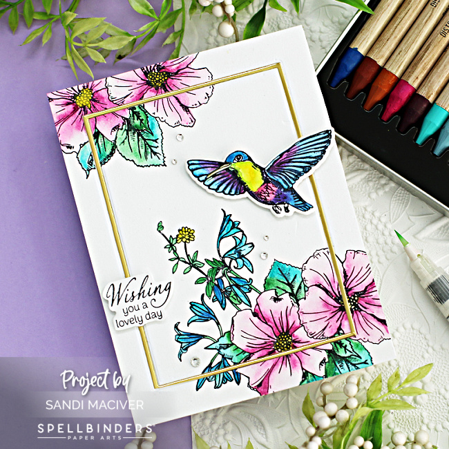 watercolored pink flowers and a green and pink hummingbird on a hand made card created with new card making supplies from Spellbinders