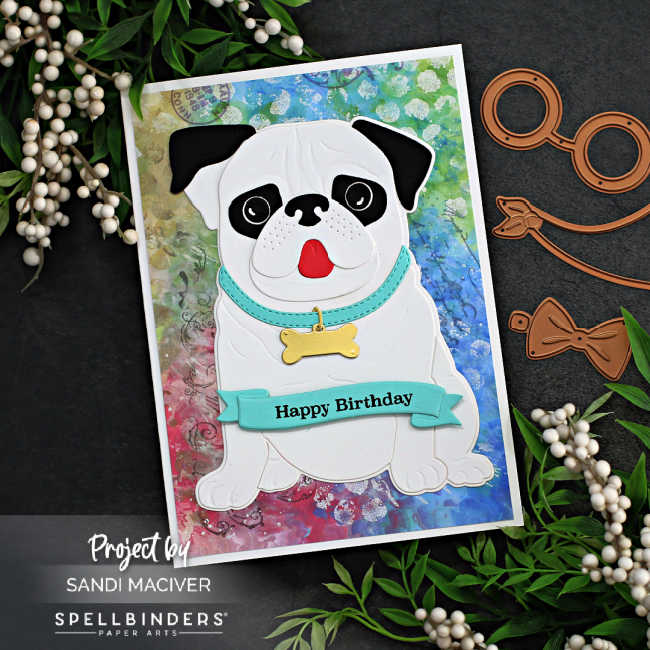 hand made die cut card with a large black and white pug and a rainbow abstract background created with new card making products from Spellbinders