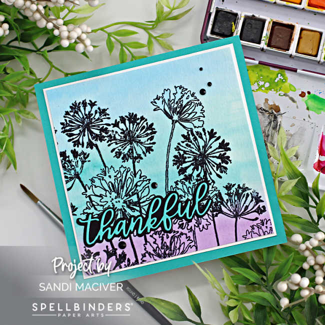 hand made 5 x 5 square watercolor card with a light blue, green and purple streaked background and silhouetted Agapanthus flowers in black