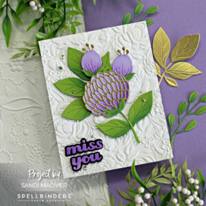Spellbinders Aug 2024 Club Embossing Folders - Sandi MacIver - Card ...