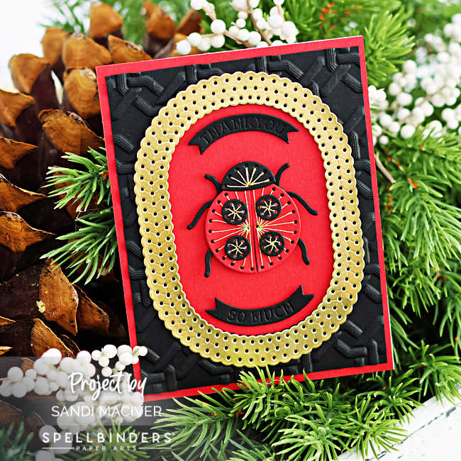 black and white hand made card with a stitched ladybug in the center and a large oval gold frame around her