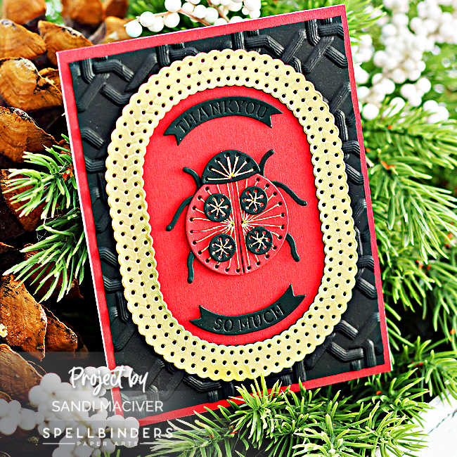 black and white hand made card with a stitched ladybug in the center and a large oval gold frame around her