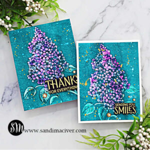 More 3D Embossing Folder Techniques - Sandi MacIver - Card making and ...
