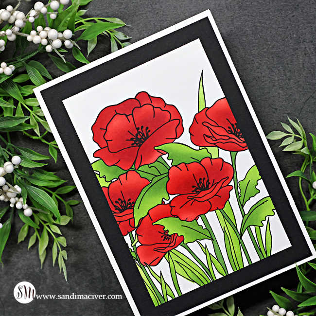 A handmade card featuring a bold poppy field design. The card showcases bright red stenciled poppy flowers with fresh green leaves, stamped in black for crisp outlines. The artwork is framed with a black cardstock border and mounted on a white card base. The card is displayed on a dark stone background with sprigs of green foliage and small white berries surrounding it.