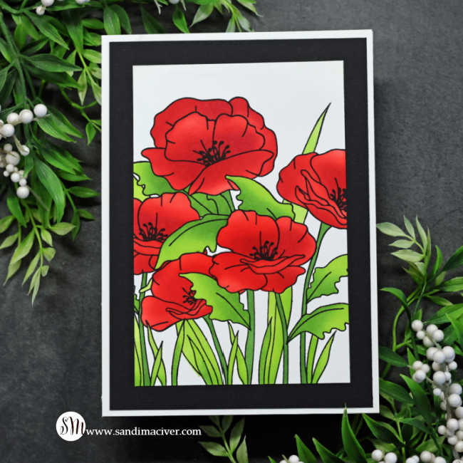 A handmade card featuring a bold poppy field design. The card showcases bright red stenciled poppy flowers with fresh green leaves, stamped in black for crisp outlines. The artwork is framed with a black cardstock border and mounted on a white card base. The card is displayed on a dark stone background with sprigs of green foliage and small white berries surrounding it.