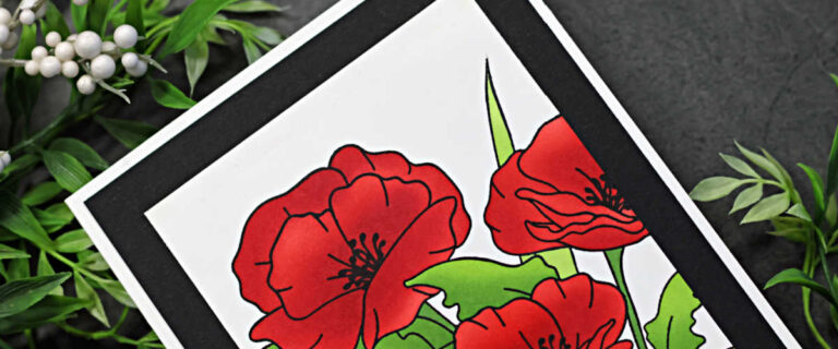 A handmade card featuring a bold poppy field design. The card showcases bright red stenciled poppy flowers with fresh green leaves, stamped in black for crisp outlines. The artwork is framed with a black cardstock border and mounted on a white card base. The card is displayed on a dark stone background with sprigs of green foliage and small white berries surrounding it.