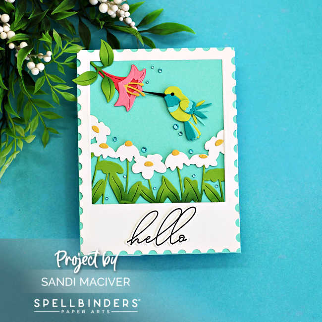 Die-cut handmade card featuring a colorful hummingbird hovering beside a pink flower over white daisies and layered green grass, framed with a postage-style border on a teal background with a simple “hello” sentiment at the bottom.