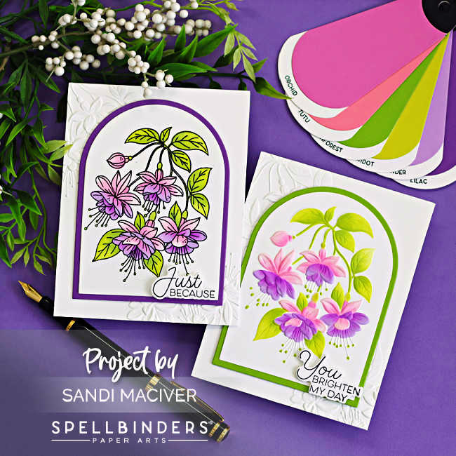Clean floral fuchsia cards featuring pink and purple flowers in arched frames on white embossed backgrounds, styled on a purple surface with greenery and color swatches.