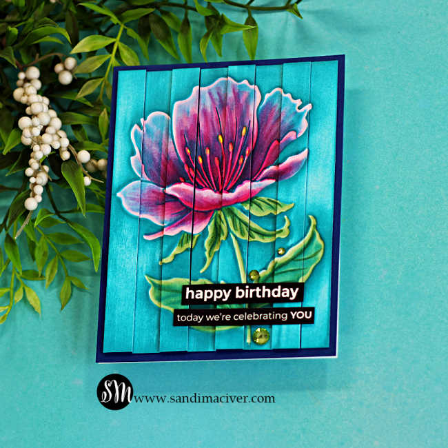 Handmade birthday card featuring the Colored Embossed Double Vision Technique using the Curvy Blossom embossing folder. The large pink blossom is colored with Copic markers and set against a weathered aqua barnwood background. Alternating raised strips create the dimensional Double Vision effect, while a layered black birthday sentiment and sparkling green gems complete the design.