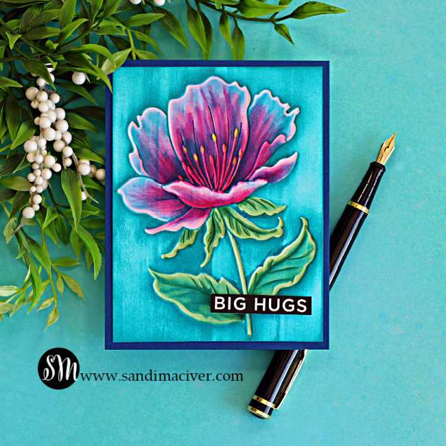 Handmade floral card featuring the Simon Says Stamp Curvy Blossom Embossing Folder. The embossed flower is colored with Copic markers on the debossed side, then highlighted by dragging blue ink over the raised surface to reveal the embossed details. Finished with a "Big Hugs" sentiment on a turquoise background.