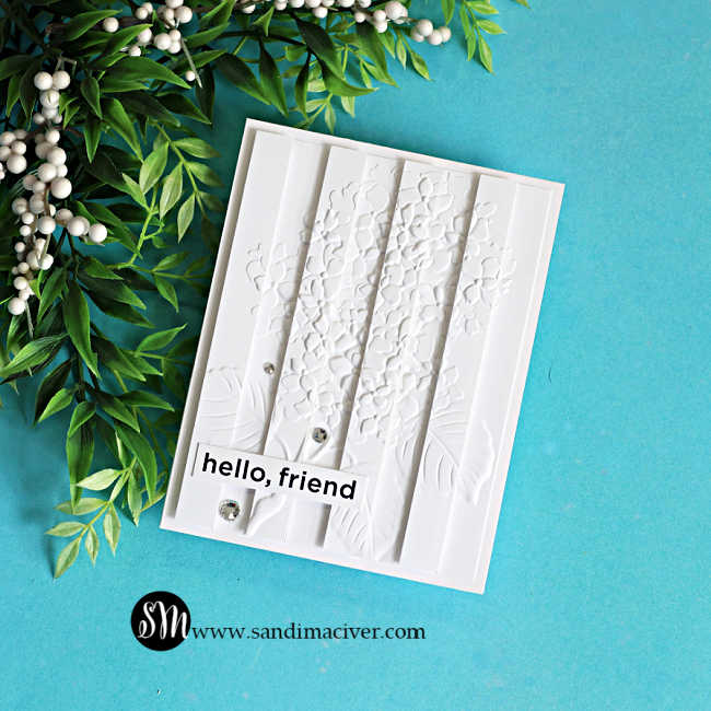 Elegant white-on-white friendship card featuring the Embossed Double Vision technique. Alternating raised embossed strips create dimension across a floral hydrangea background, finished with a simple "hello, friend" sentiment and sparkling clear gems.