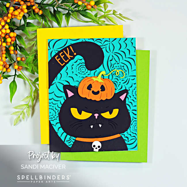 Handmade Halloween card featuring a cranky black cat wearing a pumpkin and witch hat against a teal spiderweb background, accented with orange, yellow and green.