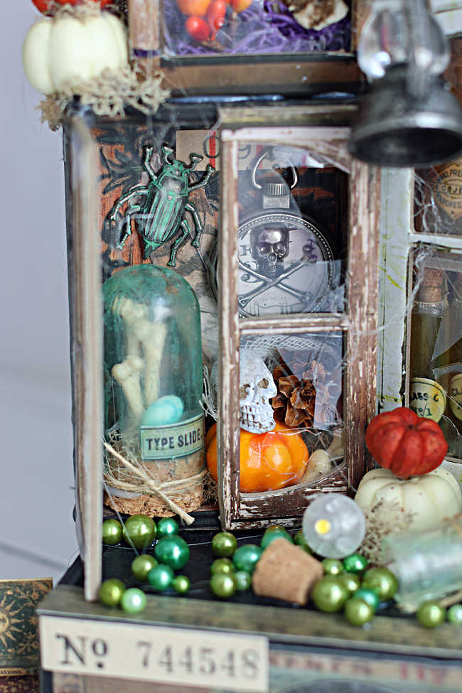 Close-up of Tim Holtz Collector’s Laboratory featuring a green beetle, specimen dome, skull-and-crossbones pocket watch, and miniature pumpkins behind distressed shattered-glass cabinet doors.